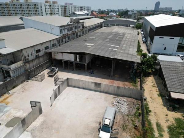 ⡴ѧ���ͧ �� PL BUA