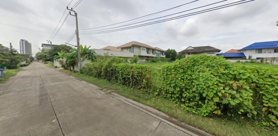 ���Թ�ҧ�� �� HarrisonTH