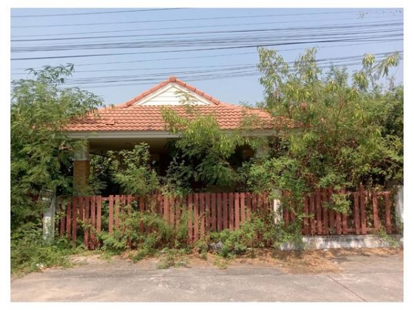 ���١�� �� panaya.opalopal