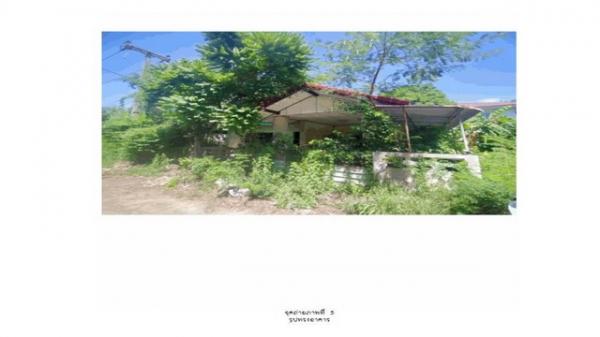 �����ҹ� �� compos2566