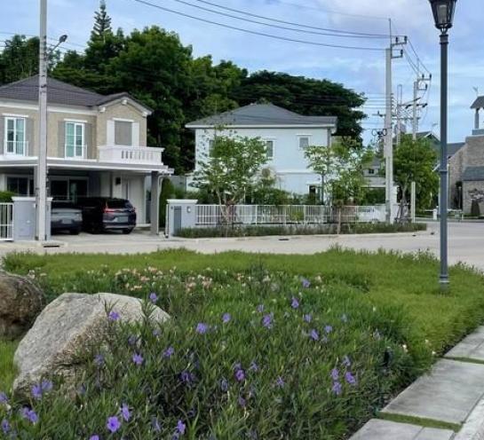 ��ҹ������ �� Nan