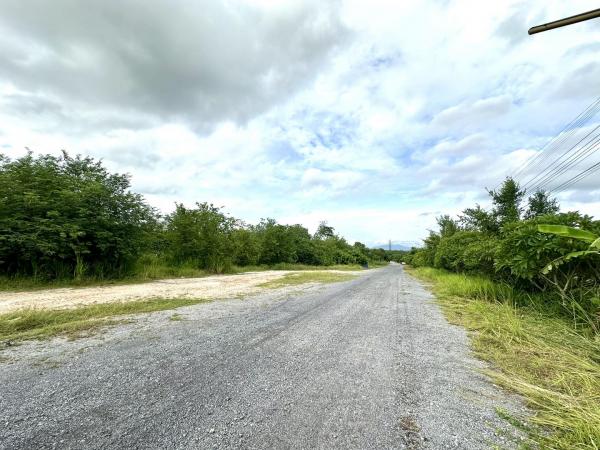 ���Թ 38 ���