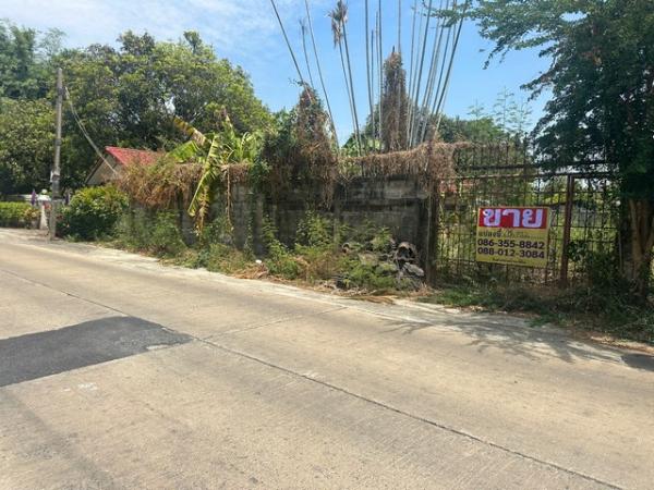 �����ҹ� �� zionasset1