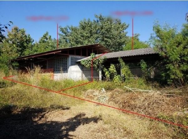 ���⡴ѧ �������