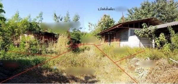 ���⡴ѧ �������