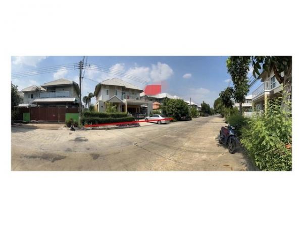 ��ҹ�ѭ���� �� panaya.opalopal