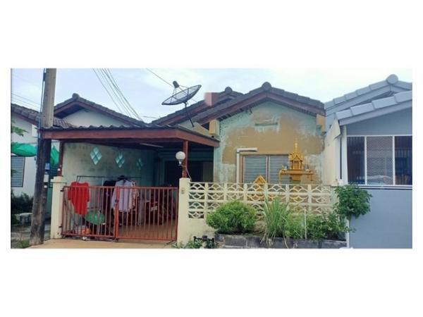 ���١�� �� panaya.opalopal