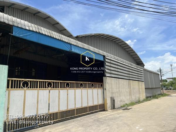 ˹ͧ�� �� Kong property