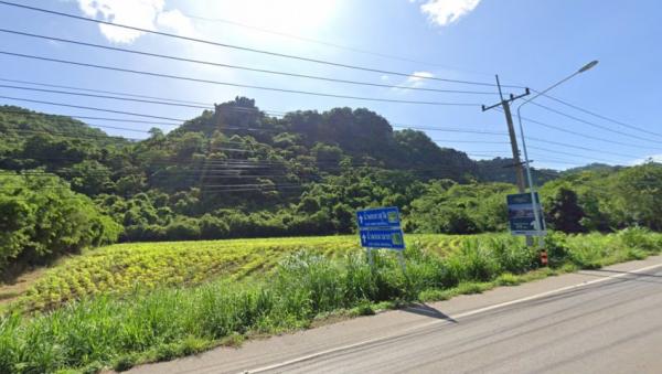 ���Թ 5 ���