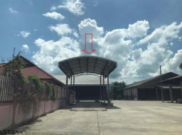 ��º�ҹ �ҧ ��§����