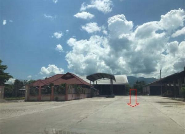 ��º�ҹ �ҧ ��§����