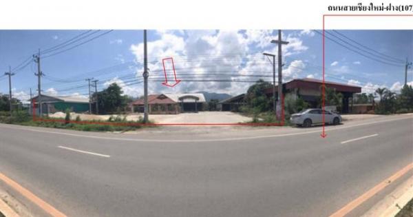 ��º�ҹ �ҧ ��§����