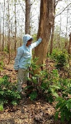  ���Թ �ѧ��� ���