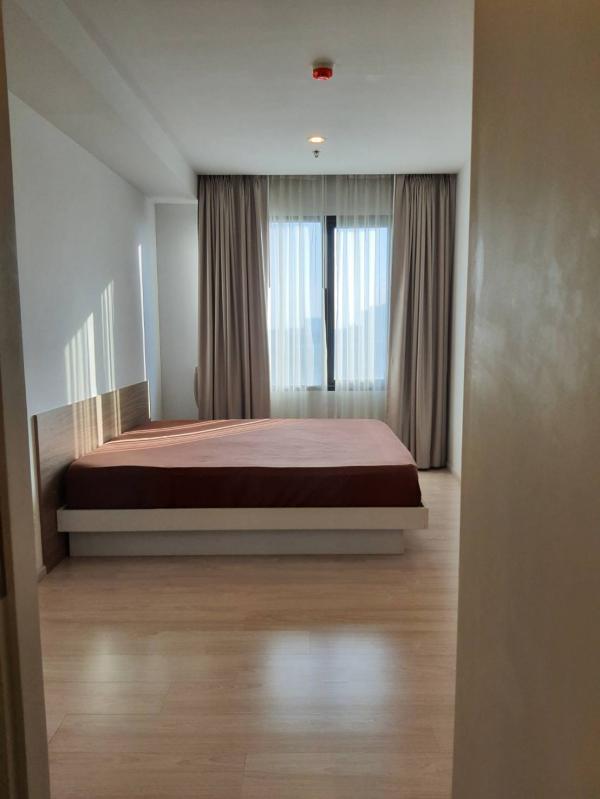 �͹�BITEC �ҧ��