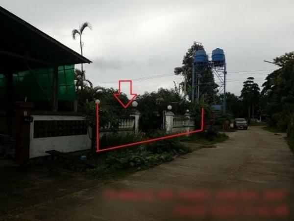 ��º�ҹ �ҧ ��§����