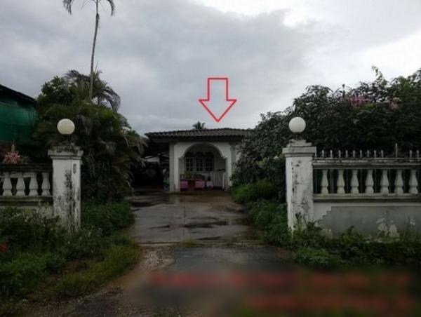 ��º�ҹ �ҧ ��§����