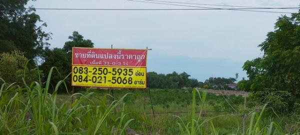 ������ �� zionasset1