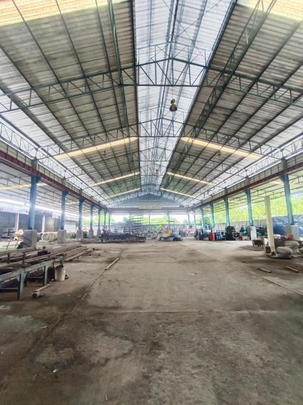 ���ʹԤ� �� �Թ���