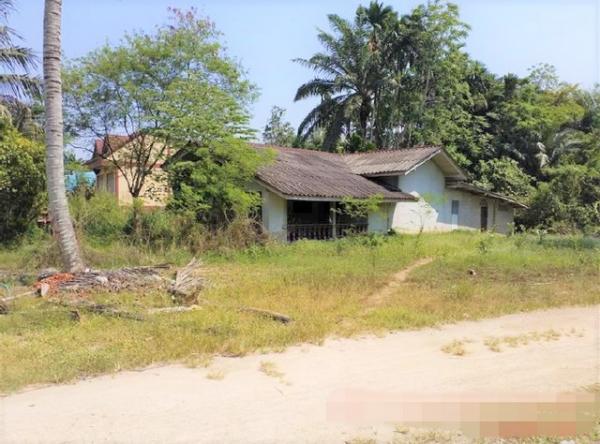 ��ҹ ���ž���ʧ ����ɮ��ҹ�