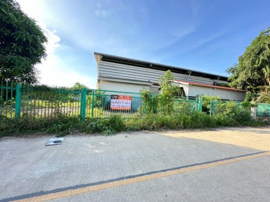 �����ҹ� �� iqithailand