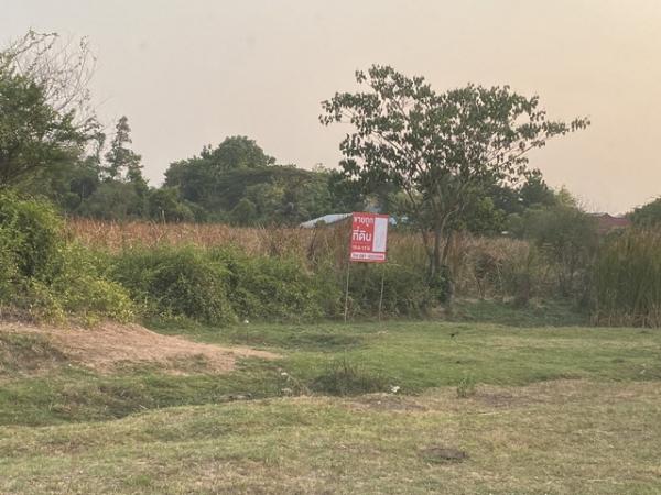 �͹�� �� Jyn Property