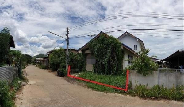 ��º�ҹ ��§�ҹ���