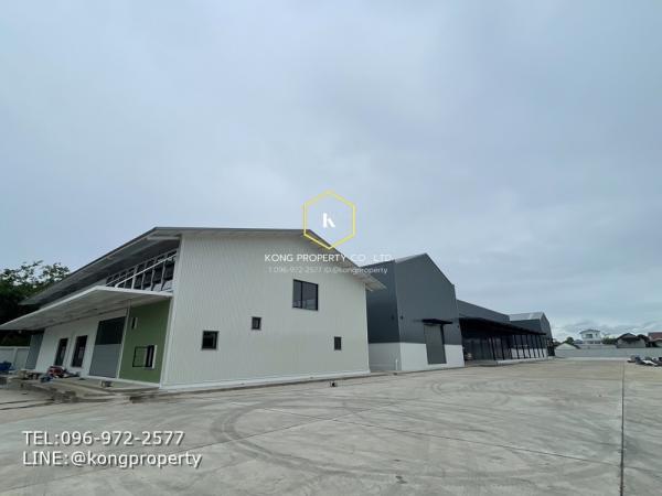 ������ ��ا෾ �� Kong property