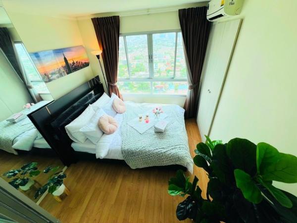 �͹���ǵ֡�٧ �ҧ����