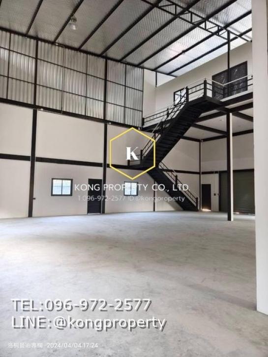 ⡴ѧ�ҧ��� �� Kong property