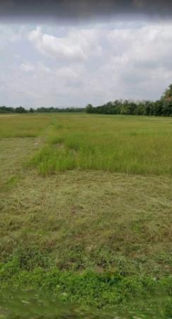 ������� �� onanong khumaphao