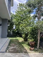 ��ҹ����������� �ҡ���