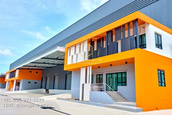 �ç�ҹ�ҧ��� �� Kong property