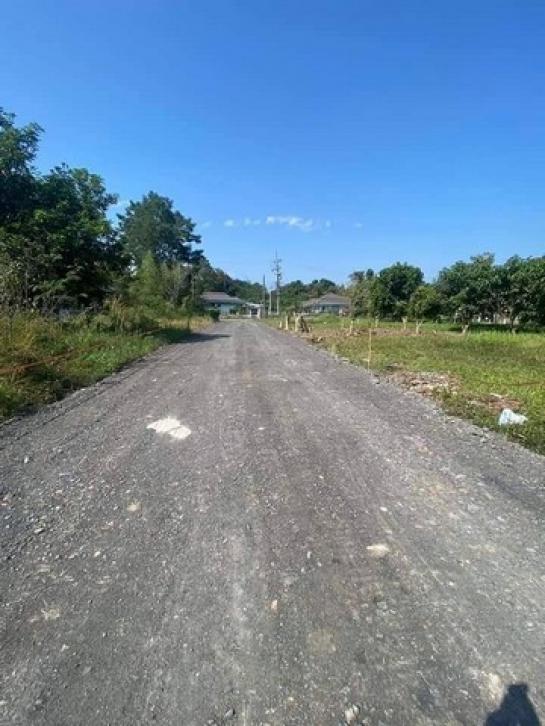 �ѹ���� �� onanong khumaphao