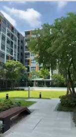 �͹� �ǹ��ǧ