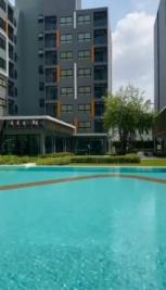 �͹� �ǹ��ǧ 24 ���ҧ����