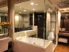�͹� �ҧ�ѡ 56 ���ҧ����