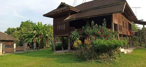 ����� �� onanong khumaphao