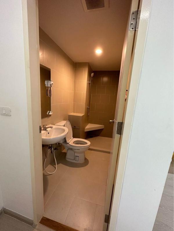 ��¤͹� �٤� �����ҹ�