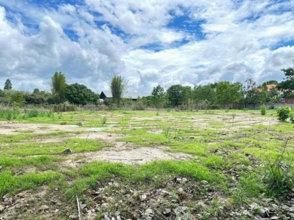 �ҧ�� �� onanong khumaphao