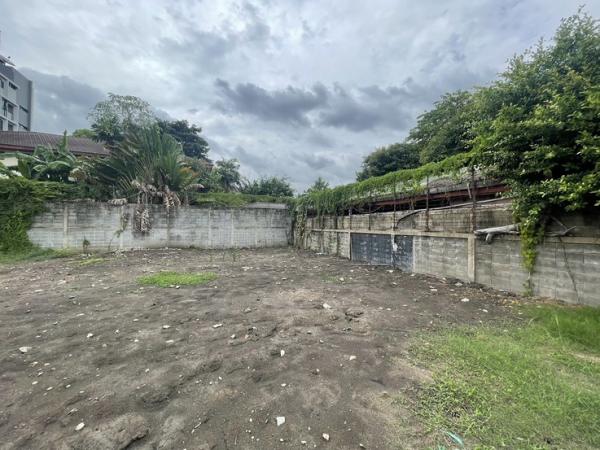 ���⢹� �� HarrisonTH