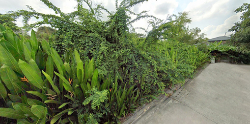 ���Թ���ͧ �� HarrisonTH