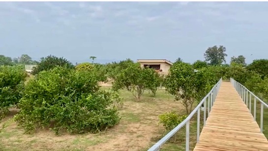 ที่ดิน 21 ไร่ ที่ดิน 21 ไร่