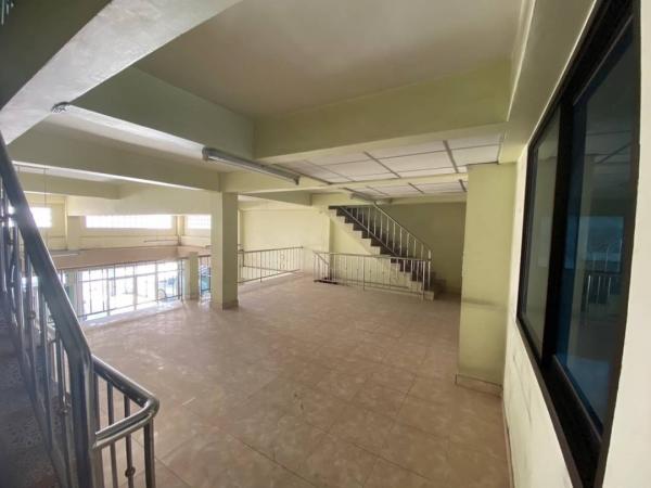 �Ҥ�þҳԪ��ҧ������������� �ź���