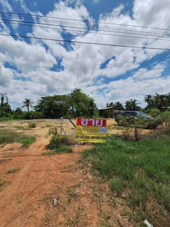 ������ �� zionasset1