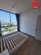 ��¤͹� �ҧ�л� ��ا෾