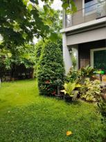 ��ҹ �ѹ��ᾧ 81 ���ҧ��