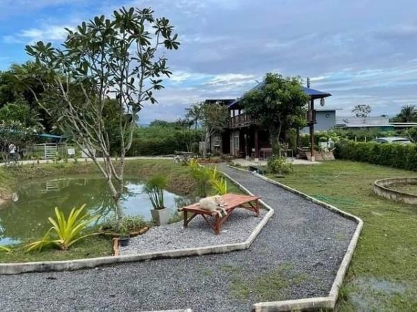 ������ �� onanong khumaphao