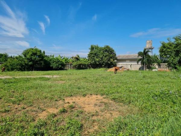 ����Ҫ���� �� pazarestate1