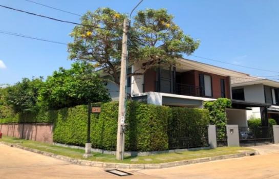 ��ا෾ �� AssetD4U