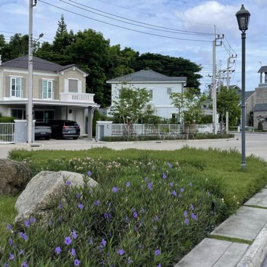 ��Ը� �蹨Թ��